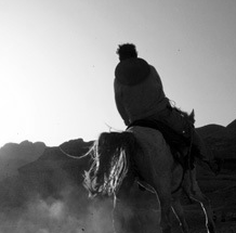 【应用宝】官方的ddos页端